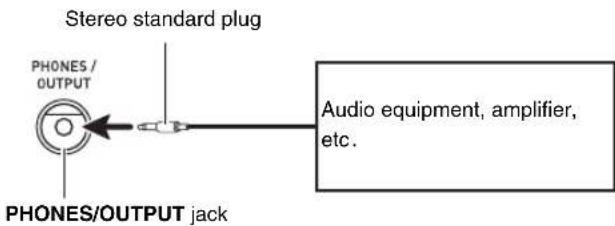 CASIO CDP-220 - IMPORTANT! - 1