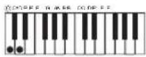 CASIO CDP-220 - ■CASIO CHORD - 4