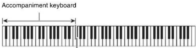 CASIO CDP-220 - Auto Accompaniment with Chords - 1
