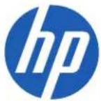 HP Flash Drive - 1