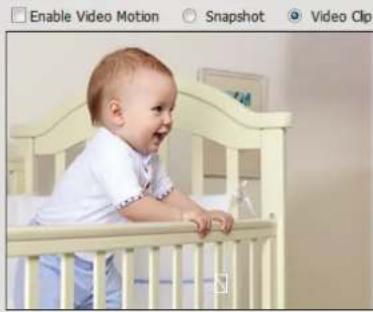D-LINK DCS-5222L - Step 1: Specify Motion Detection Area Settings - 1