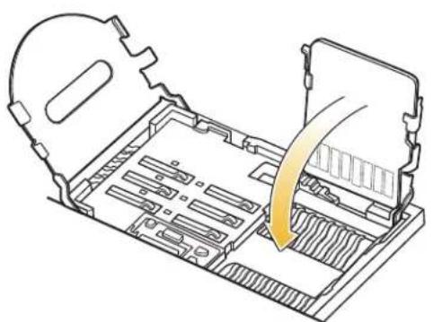 MOTOROLA ES400 Qwerty - Installing a microSD Card - 5
