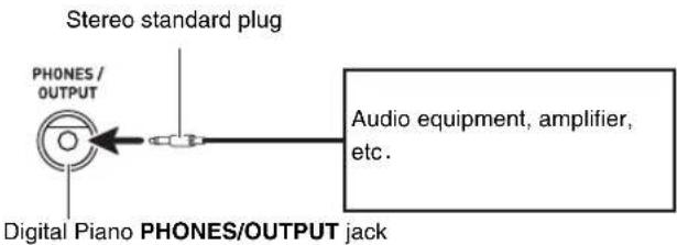 CASIO CDP-120 - IMPORTANT! - 1