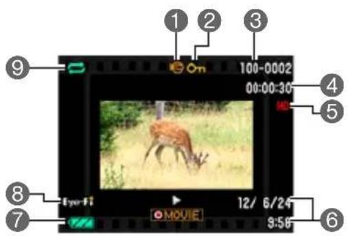 CASIO Exilim EX-ZS30 - ■ Movie Playback - 1