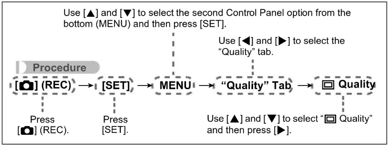 CASIO Exilim EX-ZS30 - ■ REC Menu Operations in This Manual - 1