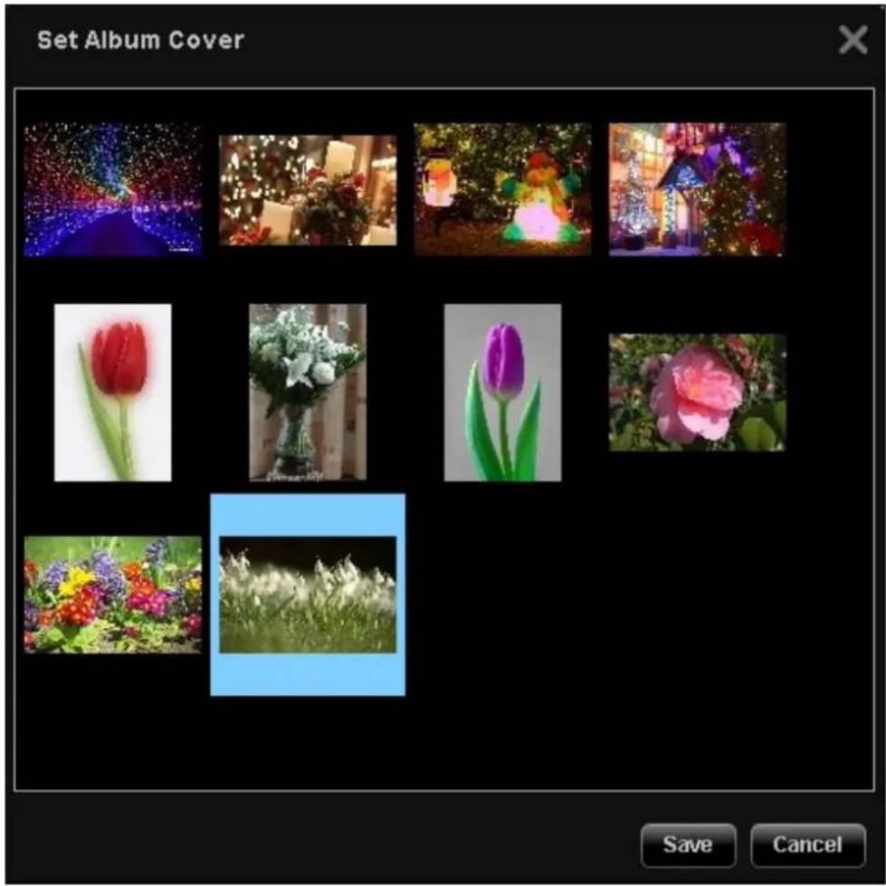 QNAP TS-419P II - Setting album cover - 3