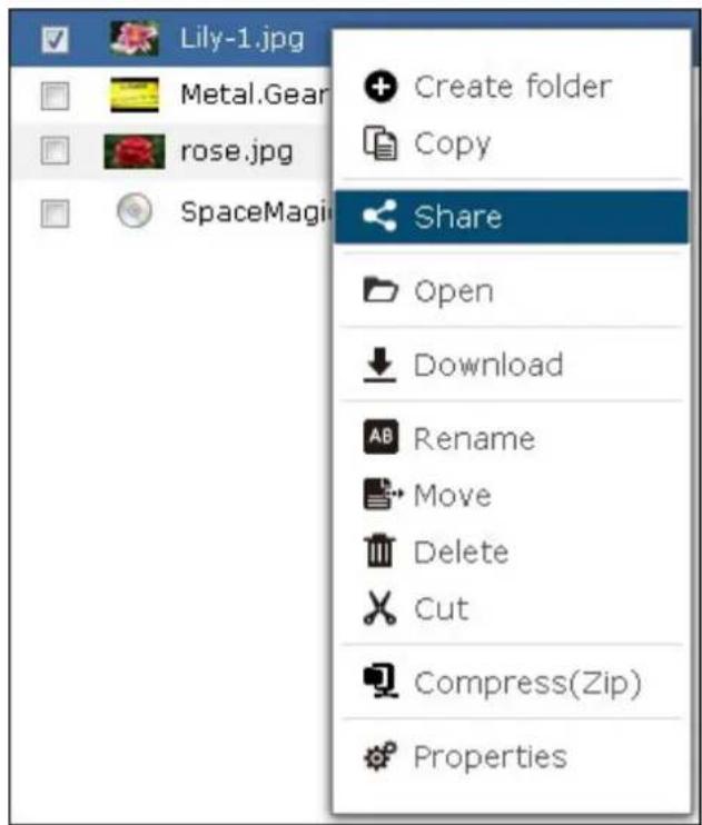 QNAP TS-419P II - Sharing Files - 1