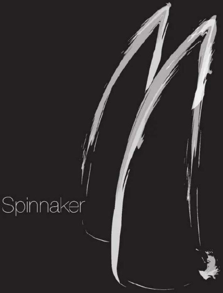 EDIFIER Spinnaker - Explanations of Spinnaker Attributes... - 1