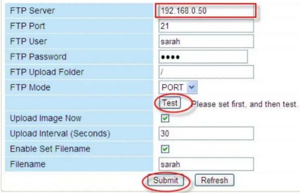 FOSCAM FI8918W - FTP Service Settings - 1