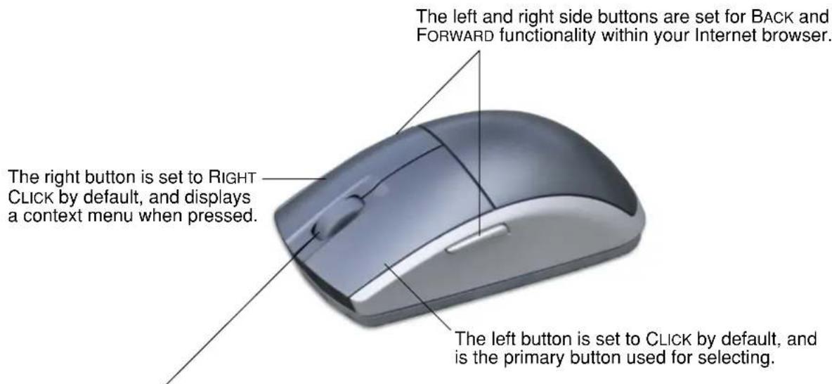 The left and right side buttons are set for BACK and FORWARD functionality within your Internet browser. The right button is set to RIGHT CLICK by default, and displays a context menu when pressed. The left button is set to CLICK by default, and is the primary button used for selecting.