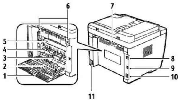 XEROX WorkCentre 6015N - Rear View - 1