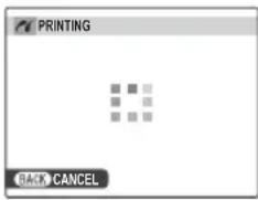 FUJIFILM AR-X100 - During Printing - 1