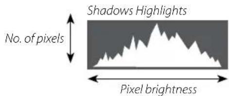 FUJIFILM AR-X100 - Histograms - 1