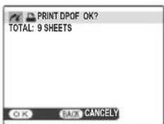 FUJIFILM AR-X100 - Printing the DPOF Print Order - 5