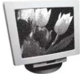 ADOBE Photoshop Elements 11 - About image modes - 1