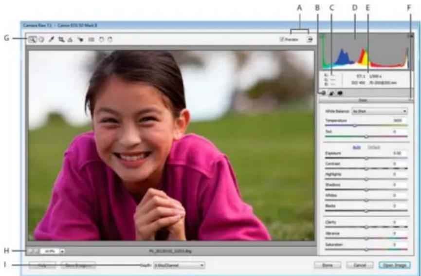 ADOBE Photoshop Elements 11 - What are the differences in the Process Versions? - 1