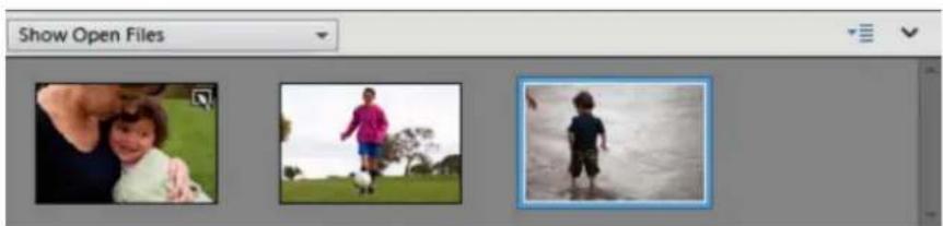 ADOBE Photoshop Elements 11 - Use the Photo Bin - 1