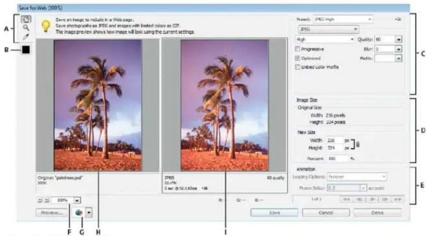 ADOBE Photoshop Elements 11 - Using the Save For Web dialog box - 1