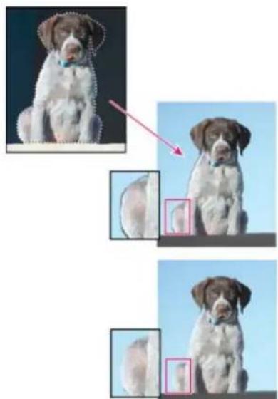 ADOBE Photoshop Elements 11 - Defringe a selection - 1