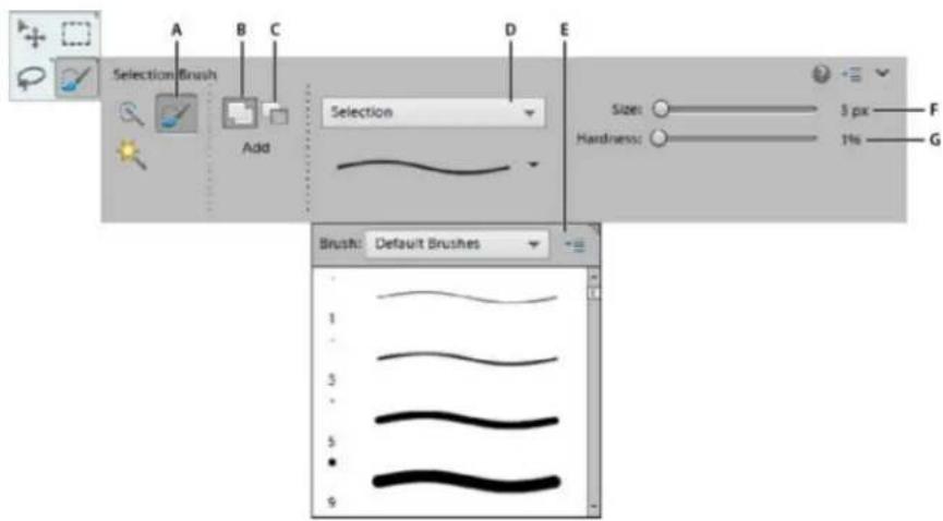 ADOBE Photoshop Elements 11 - Use the Selection Brush tool - 1