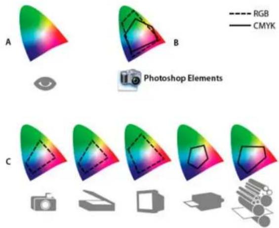 ADOBE Photoshop Elements 11 - About color management - 1