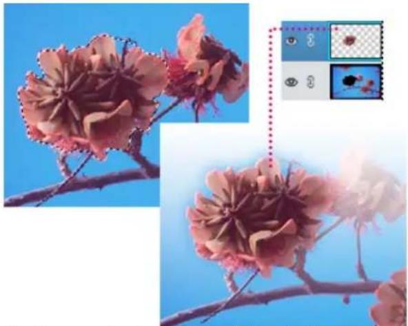 ADOBE Photoshop Elements 11 - Create a new layer from part of another layer - 1