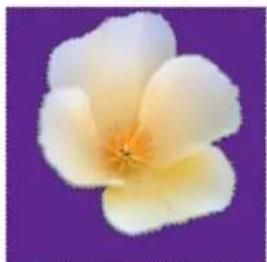 ADOBE Photoshop Elements 11 - Save, load, or delete a selection - 5