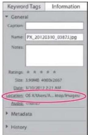 ADOBE Photoshop Elements 11 - Find an image file on your hard drive - 1