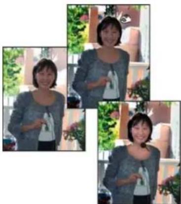 ADOBE Photoshop Elements 11 - Quickly lighten or darken isolated areas - 1
