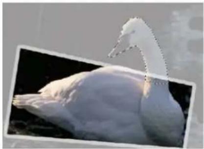 ADOBE Photoshop Elements 11 - The Out of Bounds Guided Edit - 3