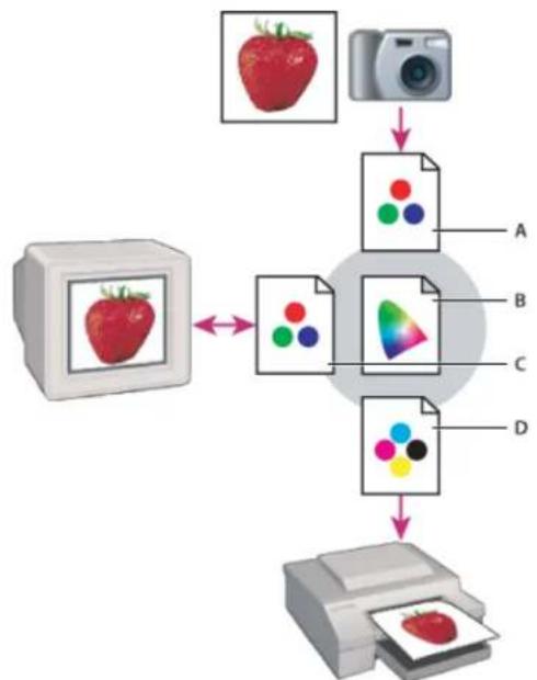 ADOBE Photoshop Elements 11 - About color management - 2
