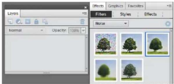 ADOBE Photoshop Elements 11 - About panels - 2