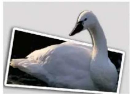 ADOBE Photoshop Elements 11 - The Out of Bounds Guided Edit - 4