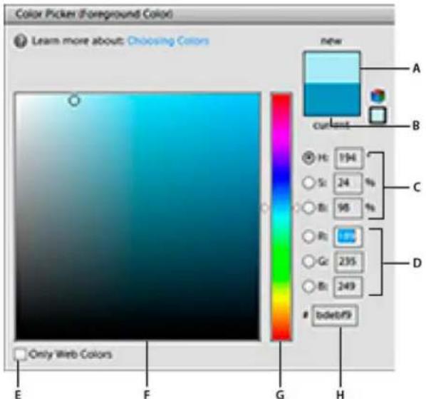 ADOBE Photoshop Elements 11 - Use the Adobe Color Picker - 1