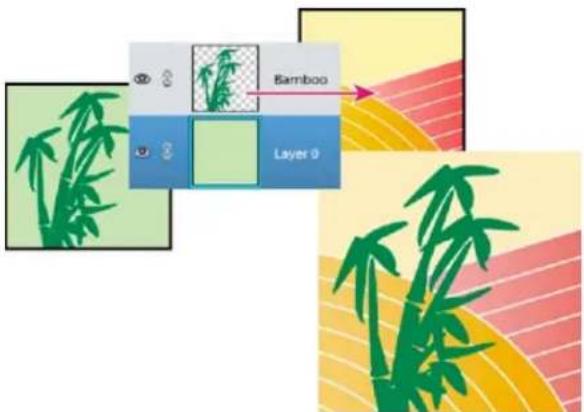 ADOBE Photoshop Elements 11 - Copy a layer from one image to another - 2