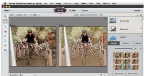 ADOBE Photoshop Elements 11 - Correct color in Quick mode - 1