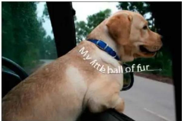 ADOBE Photoshop Elements 11 - Text on Custom Path - 2