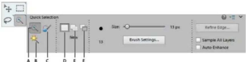 ADOBE Photoshop Elements 11 - Use the Quick Selection tool - 1