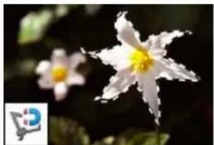 ADOBE Photoshop Elements 11 - About the selection tools - 5