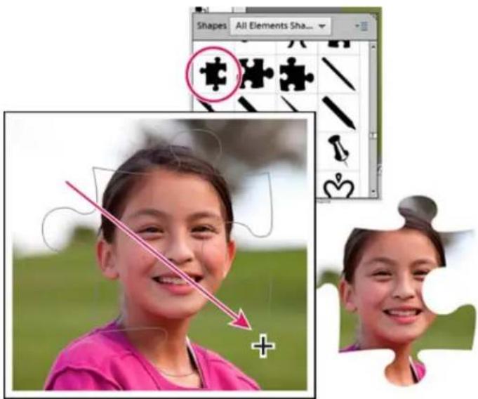 ADOBE Photoshop Elements 11 - Use the Cookie Cutter tool - 1