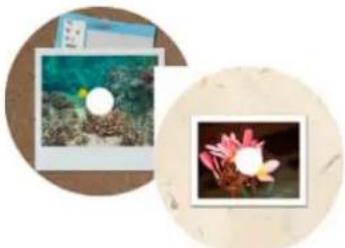 ADOBE Photoshop Elements 11 - About CD and DVD labels - 1