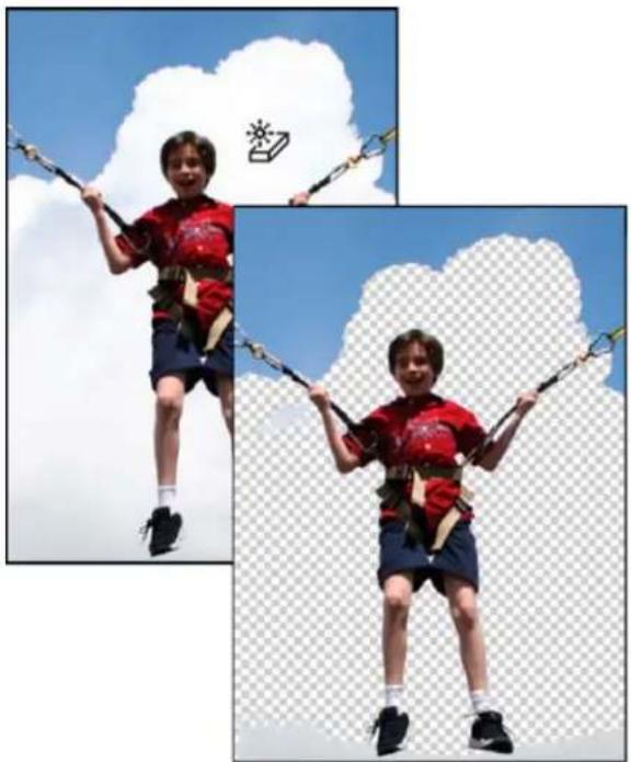 ADOBE Photoshop Elements 11 - Use the Magic Eraser tool - 1