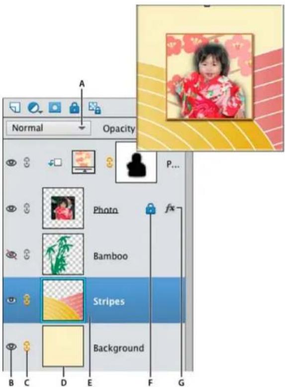 ADOBE Photoshop Elements 11 - About the Layers panel - 1
