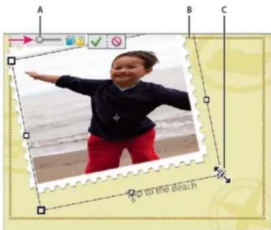ADOBE Photoshop Elements 11 - Reposition or resize photos in a photo project - 1