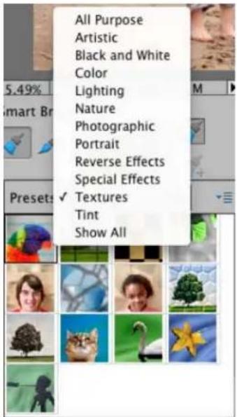 ADOBE Photoshop Elements 11 - Adjust color and tonality using the Smart Brush tools - 4