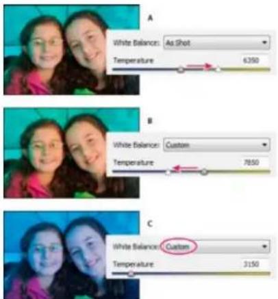 ADOBE Photoshop Elements 11 - White balance controls for camera raw - 1
