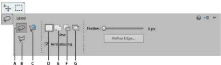 ADOBE Photoshop Elements 11 - Use the Lasso tool - 1