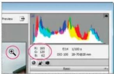 ADOBE Photoshop Elements 11 - Using the histogram and RGB values in camera raw - 1