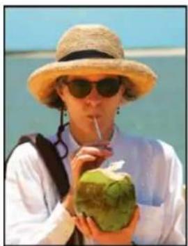 ADOBE Photoshop Elements 11 - Blur the edges of a selection by feathering - 1