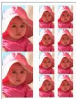 ADOBE Photoshop Elements 11 - Print a picture package - 1